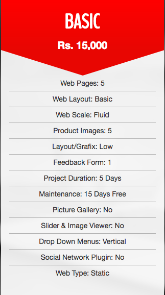 Web basic Plan 