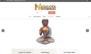 Nagaloka Enterprises Nagpur